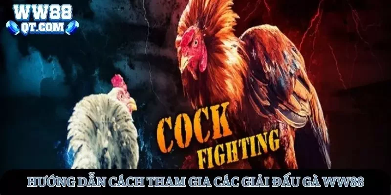 Hướng dẫn đơn giản các bước tham gia đá gà WW88