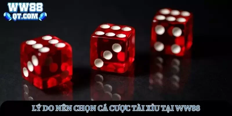 Những lý do nên chọn cá cược Tài xỉu WW88